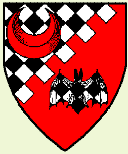 Per bend sinister embattled lozengy argent and sable an